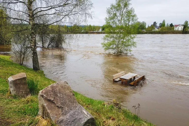 En oversvømt elv med en benk i midten, som sikrer ressursbeskyttelse og planlegging for det uventede.